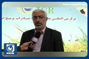 سود سهام عدالت چه زمانی پرداخت می‌شود؟ + فیلم