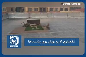 نگهداری آذر و توران روی پشت‌بام!