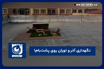 نگهداری آذر و توران روی پشت‌بام!