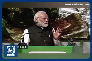 ببر‌های هند، از خطر انقراض تا افزایش جمعیت + فیلم