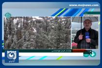 آخرین وضعیت بارندگی در لرستان + فیلم