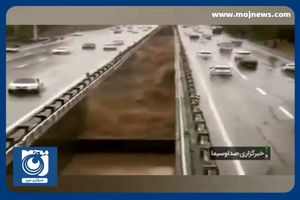 سابقه سیل های تهران در یک قرن گذشته + فیلم