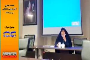 پاسخ پروین صالحی، به پرسشی درخصوص تحقیق و تفحص از مجتمع فولاد مبارکه