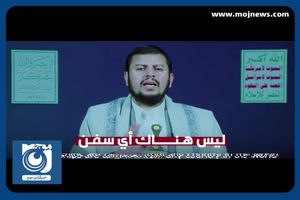 تنها کشتی‌های مرتبط با اسرائیل هدف قرار می‌گیرند + فیلم