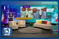 آمار جالب چند قلوزایی در ۱۰ ماهه نخست امسال + فیلم