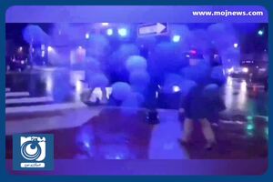 تصادف بایدن و همسرش پس از کارزار انتخاباتی + فیلم