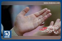 نماهنگ جاماندگان اربعین با نوای سید رضا نریمانی + فیلم