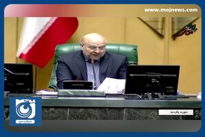 مجلس تحت‌تأثیر صاحبان قدرت و ثروت قرار نگرفت + فیلم