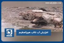 افزایش آب تالاب هورالعظیم