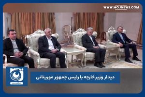 دیدار وزیر خارجه با رئیس جمهور موریتانی 