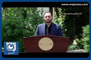 جزئیات حمایت دولت از کشاورزان خسارت دیده از حوادث طبیعی از زبان سخنگوی دولت + فیلم