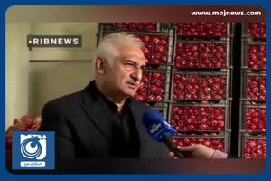 بازگشت قیمت گوجه فرنگی به قیمت قبل تا ۱۰ روز آینده + فیلم