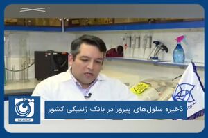 ذخیره سلول‌های پیروز در بانک ژنتیکی کشور