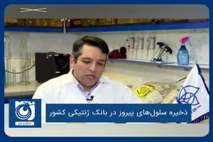 ذخیره سلول‌های پیروز در بانک ژنتیکی کشور