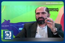 تولید و داخلی سازی غذای دام با فناوری نانو + فیلم