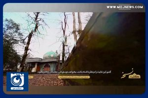 دستورالعمل آیت الله بهجت‌ (ره) برای حضور قلب دائمی در محضر خدا + فیلم