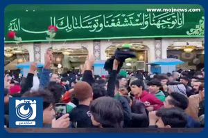 تصاویری از حال و هوای بین‌الحرمین در شب نیمه شعبان + فیلم