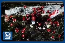 حضور جنجالی داور در جشن قهرمانی پرسپولیس + فیلم