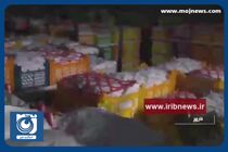 صادرات ۶۰۰ تن گیلاس به روسیه + فیلم