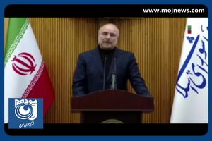 معاملات دوجانبه کشورهای عضو بریکس با ارزهایی غیر از دلار انجام می‌شود + فیلم
