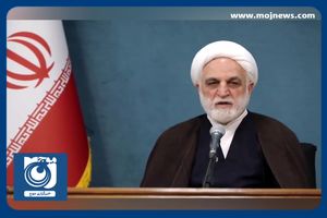 تعداد زیادی از تروریست‌هایی که عملیات کرمان را انجام دادند بازداشت شده‌اند + فیلم