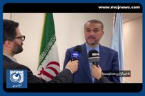 راه حل توقف تجاوز به غزه، اهتمام بیشتر سازمان ملل در این خصوص است + فیلم