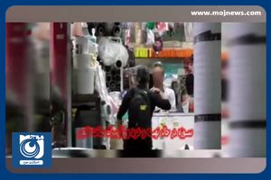 بازداشت چهار تروریست در استان مازندران + فیلم