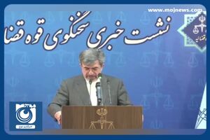 اظهارات سخنگوی قوه قضائیه درمورد پرونده قاتلان شهید علی‎‌وردی + فیلم