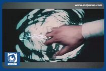 مولودی عید غدیر با نوای حسن کاتب کربلایی + فیلم