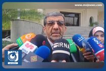 مشکلات بیمه ۱۰ هزار نفر از فعالان صنایع دستی و راهنمایان گردشگری رفع شد + فیلم