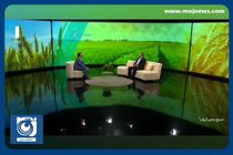 به بازار جهانی گندم اعتماد نداریم! + فیلم