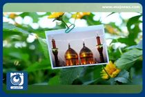 مولودی ولادت امام کاظم (ع) با نوای حاج محمود کریمی + فیلم