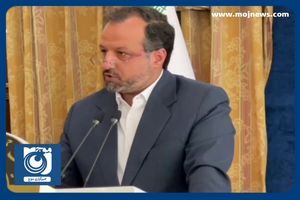 توضیحات وزیراقتصاد درباره تعیین تکلیف سلاح‌ورزی + فیلم