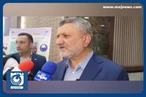 جزئیات افزایش ۲۰ درصدی یارانه از زبان وزیر کار + فیلم